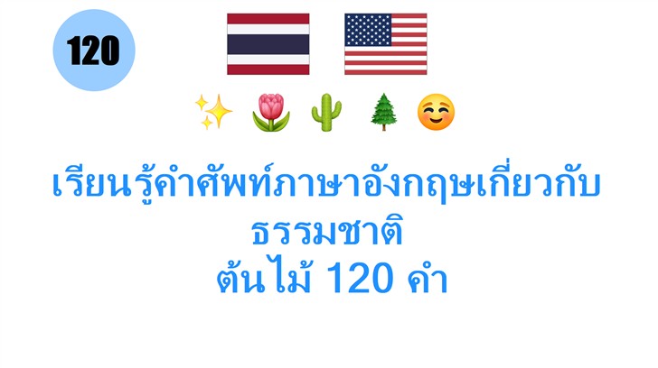 เรียนรู้คำศัพท์ภาษาอังกฤษเกี่ยวกับธรรมชาติ: ต้��ไม้ 120 คำ